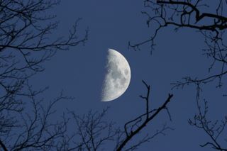 The Moon photo credit: Robin Scagell, Galaxy Pics.